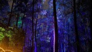 Luma Roots Lightscape, Wisata Negeri Dongeng Hutan Cahaya di Punti Kayu Palembang