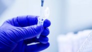 DKPP Sumsel Sediakan 10.000 Dosis Vaksin SE, Buntut Ratusan Kerbau Mati Mendadak
