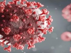Peneliti BRIN Sukses Ciptakan Antibodi Buatan Spikebodies, Cegah Infeksi SARS-CoV-2