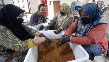 SAFARI RAMADAN: Geliat Industri Gula Aren di Tengah Tren Gaya Hidup Sehat