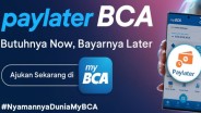 Jumlah Pengguna Paylater BCA Melonjak 70% hingga Maret 2024