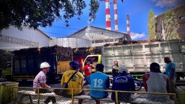 Harga Gula Bergerak Naik, Pabrik Gula SGN Mulai Giling