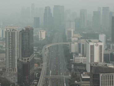10 Jenis Tanaman Hias yang Bisa Menyerap Polusi Udara
