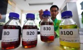 Aprobi Tunggu Arah Kebijakan Biodiesel B50 & Bioetanol E10 Prabowo-Gibran