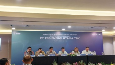 Bisnis Pembangkit Listrik Kerek Pendapatan TBS Energi (TOBA)