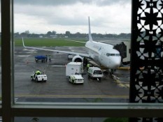 Semarang, Solo, Hingga Palembang Tak Lagi Punya Bandara Internasional, INACA Ungkap Keuntungannya untuk Indonesia