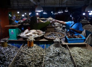 Pusat Penjualan Ikan Teri di Pasar Barito Ternate