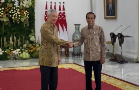 Jokowi Sebut 29 Perusahaan Singapura Minat Investasi di IKN