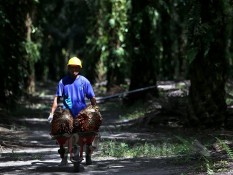 Sumsel Jadi Lokasi Perdana Pengembangan Biometana dari Limbah Kelapa Sawit