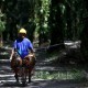 Sumsel Jadi Lokasi Perdana Pengembangan Biometana dari Limbah Kelapa Sawit