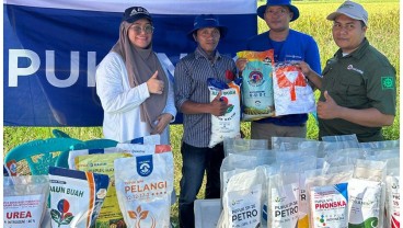 Pupuk Kaltim Dukung Produktivitas Padi Mamuju Pasca El Nino
