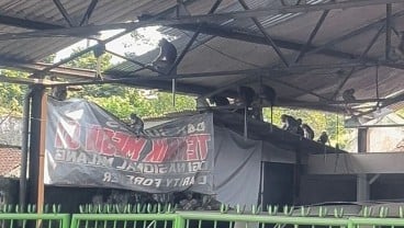 Kurang Pangan, Monyet Asal Wendit Keluar Satroni Permukiman