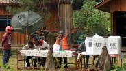 Sidang Sengketa Pileg: Hakim MK Tegur KPU, Tak Bawa Bukti Noken Papua Tengah