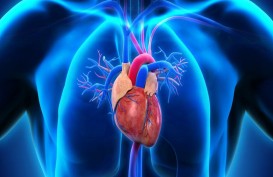 Kementerian Kesehatan Bakal Regulasi Konsumsi Lemak Trans, Sumber Penyakit Kardiovaskular