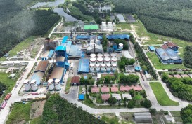 MGRO Siap Cetak Dollar Karbon dari Pabrik Sawit Terbarukan