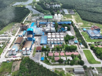 MGRO Siap Cetak Dollar Karbon dari Pabrik Sawit Terbarukan