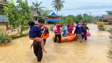 Banjir Wajo, Ribuan Hektare Lahan Masih Terendam