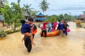 Banjir Wajo, Ribuan Hektare Lahan Masih Terendam