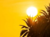 Cara Terhindar dari Heat Stroke dan Dehidrasi Saat Cuaca Panas
