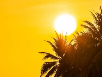 Cara Terhindar dari Heat Stroke dan Dehidrasi Saat Cuaca Panas