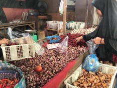 Sempat Melonjak, Harga Cabai dan Bawang di Pekanbaru Kembali Normal