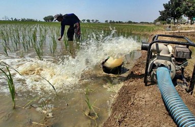 Petani Kudus Diminta Antisipasi Dampak El Nino