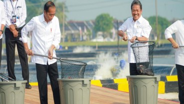 Jokowi Resmikan Tambak Budidaya Ikan Nila Salin, Total Produksi Ditaksir Rp196,5 Miliar