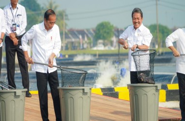 Jokowi Resmikan Tambak Budidaya Ikan Nila Salin, Total Produksi Ditaksir Rp196,5 Miliar