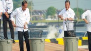 Jokowi Resmikan Tambak Budidaya Ikan Nila Salin, Total Produksi Ditaksir Rp196,5 Miliar