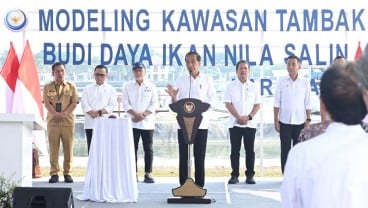 Bey Dampingi Presiden Jokowi Resmikan Modeling Budi Daya Ikan Nila Salin