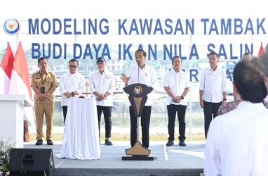Bey Dampingi Presiden Jokowi Resmikan Modeling Budi Daya Ikan Nila Salin