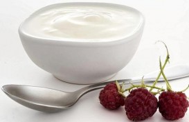 Segudang Manfaat Yogurt untuk Hindari Heatstroke di Musim Panas