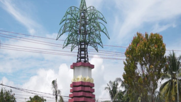 Pasangkayu, Sentra Sawit Sulawesi Barat yang Kian Bergeliat