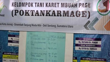 Petani Karet Lebih Lega, Lelang Bokar Karet Sentuh Rp14.150 per Kg