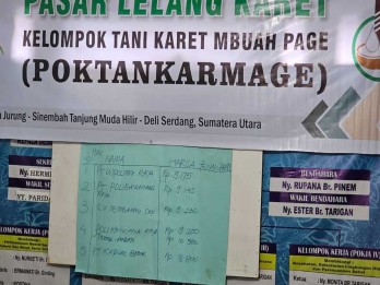 Petani Karet Lebih Lega, Lelang Bokar Karet Sentuh Rp14.150 per Kg