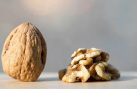 7 Jenis Kacang Aman Bagi Penderita Diabetes