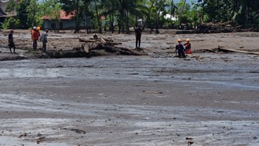 130 Ha Lahan Pertanian Sumbar Terdampak Banjir Lahar Dingin