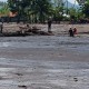 130 Ha Lahan Pertanian Sumbar Terdampak Banjir Lahar Dingin