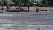 130 Ha Lahan Pertanian Sumbar Terdampak Banjir Lahar Dingin