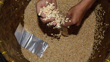 Harga Kedelai Terus Naik Menjadi Rp11.750 Per kilogram