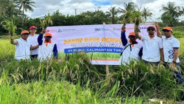 Demplot Pupuk Kaltim Tingkatkan Produksi Padi Bone Hingga 100 Persen