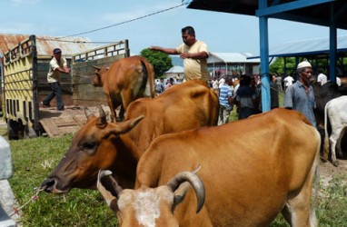 Banyumas Meningkatkan Pemantauan Lalu Lintas Hewan Ternak