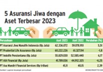 Aset perusahaan asuransi terbesar di Indonesia pada 2023./Bisnis.com