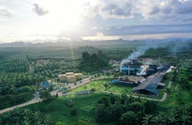 SPP Abaikan Larangan Pemda, Bakal Ganggu Tata Kelola Industri Sawit Morowali Utara