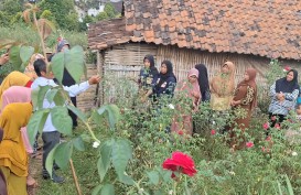 Kak Wulan Bikin Petani Mawar Nganjuk Punya Harapan Baru