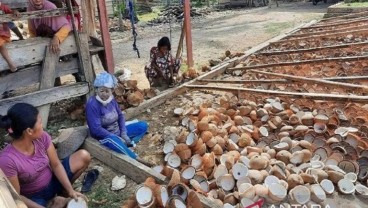 Harga Kopra dan Mete Terkoreksi Dampak Cuaca