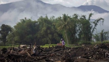 Sentra Hortikultura di Sumbar Terdampak Banjir Lahar Dingin, Sejumlah Harga Sembako Naik