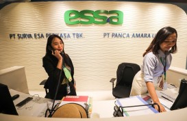 Essa Industries (ESSA) Stop Operasional Pabrik, Produksi Amoniak Bakal Turun