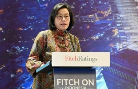 Sri Mulyani Serahkan Kenaikan PPN 12% Kepada Pemerintahan Prabowo