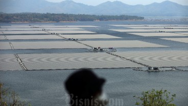 Wih! Ada Potensi Tambahan Rp10.529 Triliun ke PDB dari Energi Terbarukan